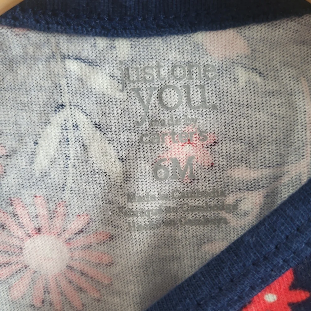 Carter's Blue and Pink Floral Baby Dress